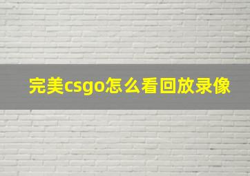 完美csgo怎么看回放录像