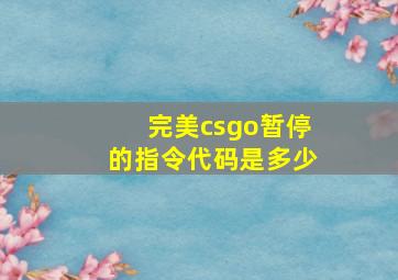 完美csgo暂停的指令代码是多少