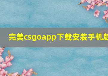 完美csgoapp下载安装手机版