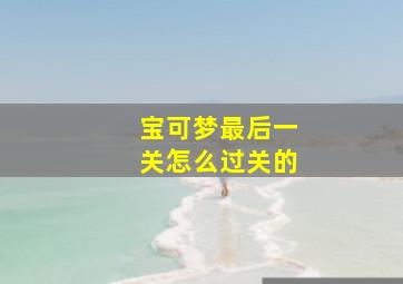 宝可梦最后一关怎么过关的