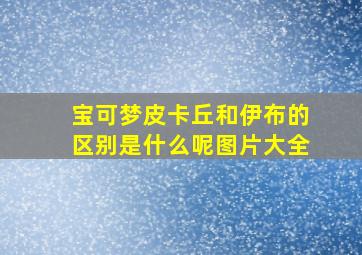 宝可梦皮卡丘和伊布的区别是什么呢图片大全