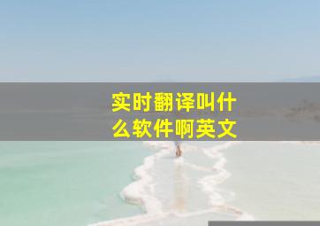 实时翻译叫什么软件啊英文