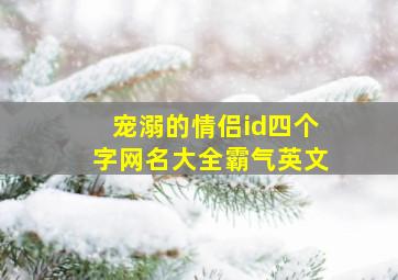 宠溺的情侣id四个字网名大全霸气英文