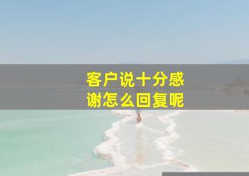 客户说十分感谢怎么回复呢