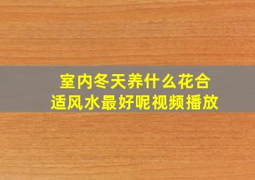 室内冬天养什么花合适风水最好呢视频播放