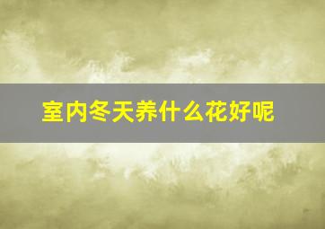 室内冬天养什么花好呢