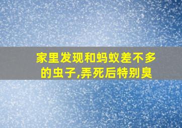 家里发现和蚂蚁差不多的虫子,弄死后特别臭