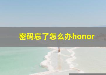 密码忘了怎么办honor