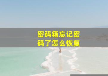 密码箱忘记密码了怎么恢复