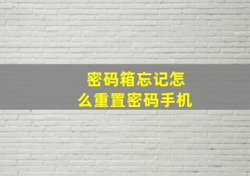 密码箱忘记怎么重置密码手机