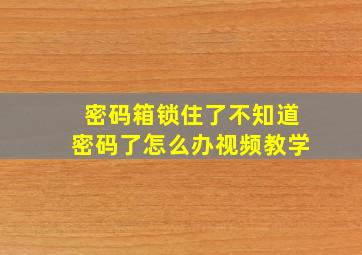 密码箱锁住了不知道密码了怎么办视频教学