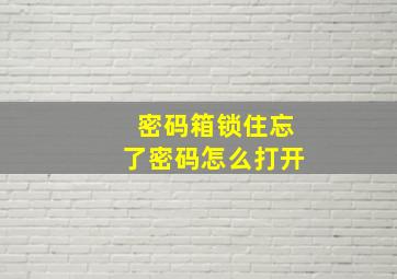 密码箱锁住忘了密码怎么打开