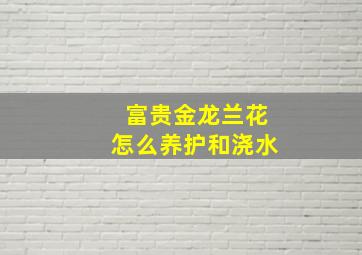 富贵金龙兰花怎么养护和浇水