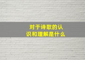 对于诗歌的认识和理解是什么