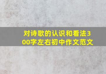 对诗歌的认识和看法300字左右初中作文范文