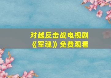 对越反击战电视剧《军魂》免费观看