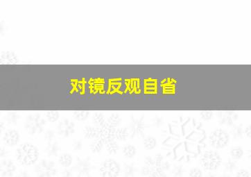 对镜反观自省