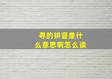 寻的拼音是什么意思啊怎么读