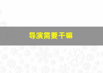 导演需要干嘛