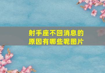 射手座不回消息的原因有哪些呢图片