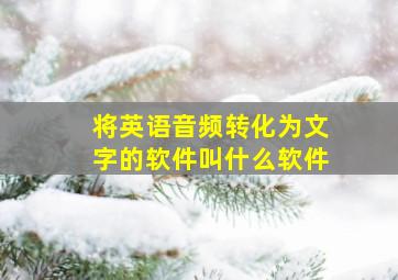 将英语音频转化为文字的软件叫什么软件