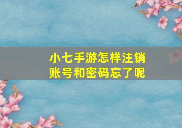 小七手游怎样注销账号和密码忘了呢