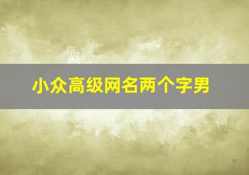 小众高级网名两个字男