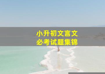 小升初文言文必考试题集锦