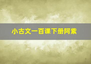 小古文一百课下册阿紫