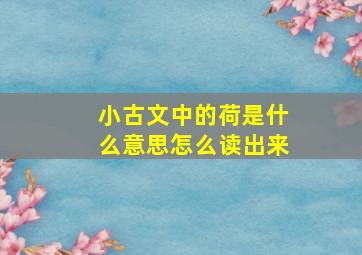 小古文中的荷是什么意思怎么读出来