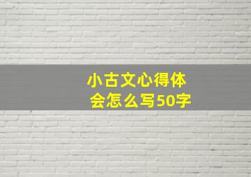 小古文心得体会怎么写50字