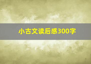 小古文读后感300字