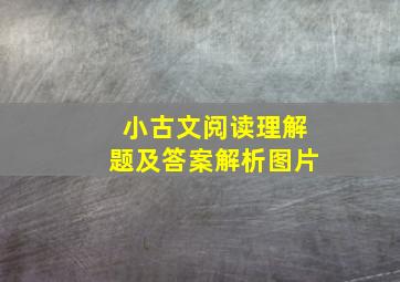 小古文阅读理解题及答案解析图片