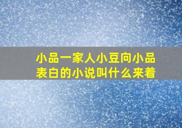 小品一家人小豆向小品表白的小说叫什么来着