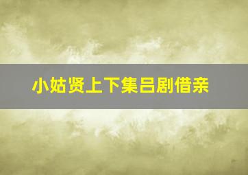 小姑贤上下集吕剧借亲