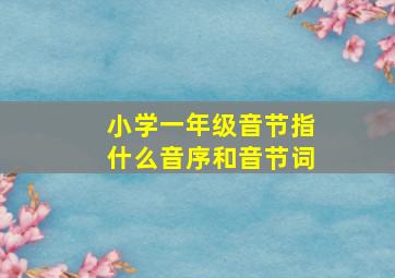 小学一年级音节指什么音序和音节词