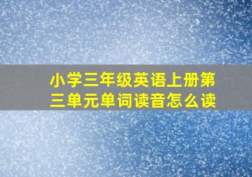 小学三年级英语上册第三单元单词读音怎么读