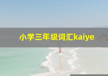 小学三年级词汇kaiye