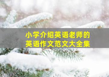 小学介绍英语老师的英语作文范文大全集