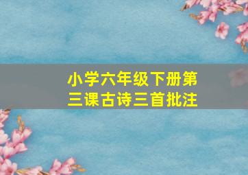 小学六年级下册第三课古诗三首批注