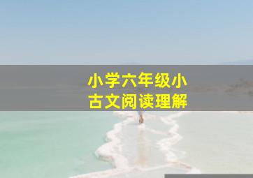 小学六年级小古文阅读理解