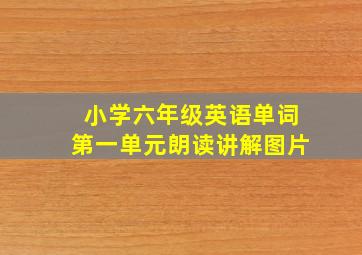 小学六年级英语单词第一单元朗读讲解图片