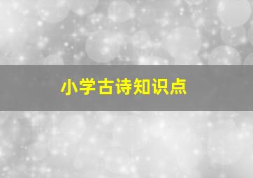 小学古诗知识点