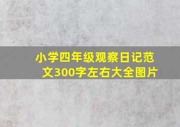 小学四年级观察日记范文300字左右大全图片