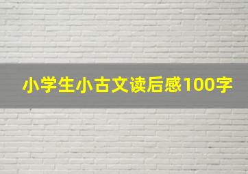 小学生小古文读后感100字