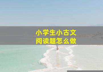 小学生小古文阅读题怎么做