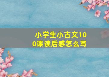 小学生小古文100课读后感怎么写