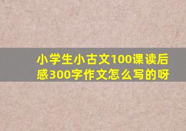 小学生小古文100课读后感300字作文怎么写的呀