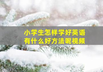 小学生怎样学好英语有什么好方法呢视频