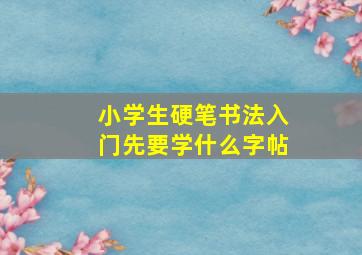 小学生硬笔书法入门先要学什么字帖